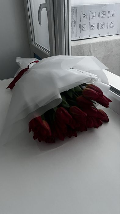 Цветы тюльпаны…..