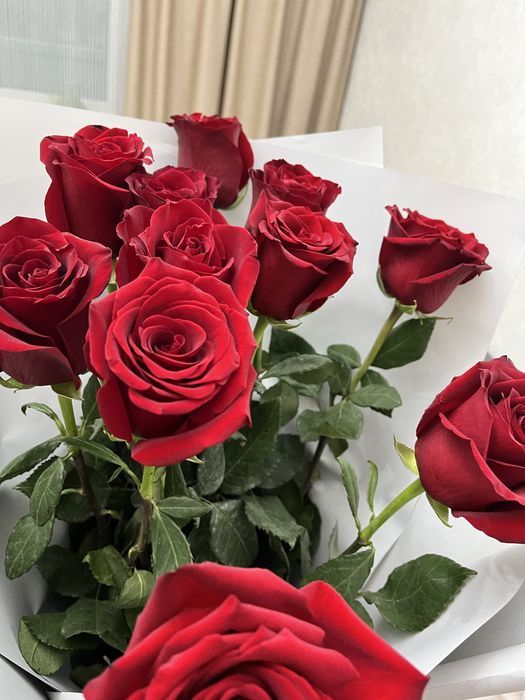 Метровые розы красные 11 штук