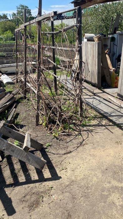 Продам дачу срочно