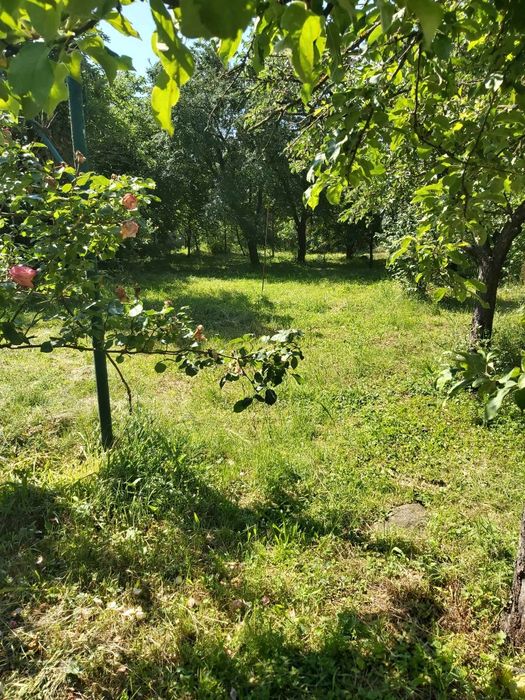 Продава се Къща в с. Габарево, Област Стара Загора - 25 кв.м за 978 €/кв.м - Снимка #2