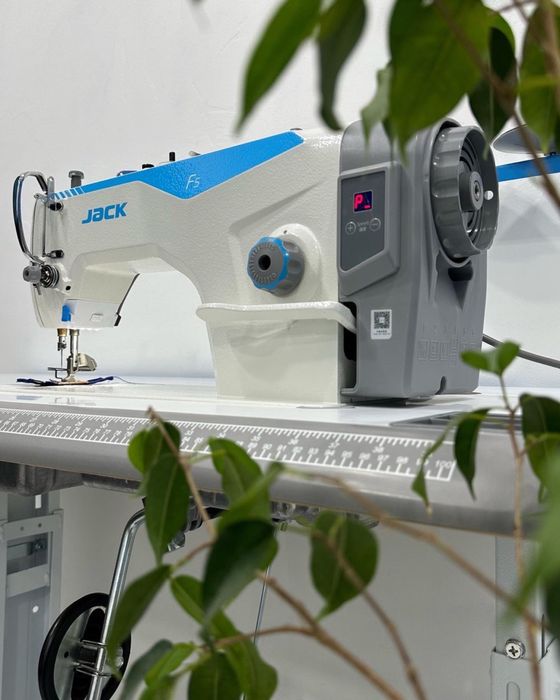 Tõg’richok  Jack - F6