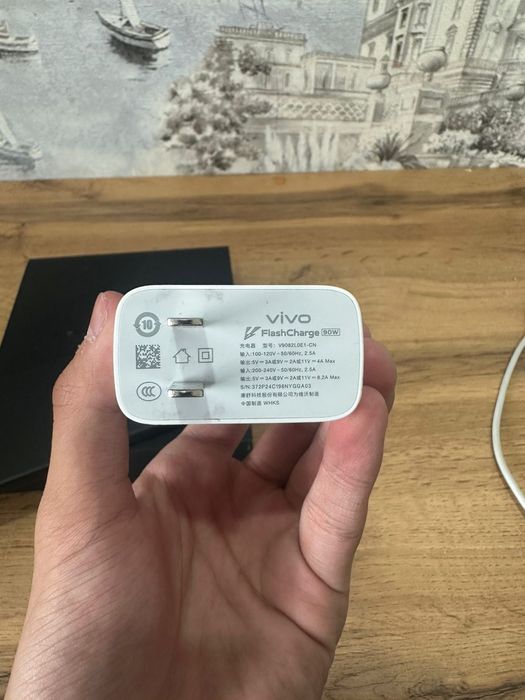 Vivo x200 pro mini