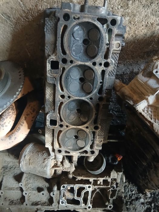 Галовка приора десатка