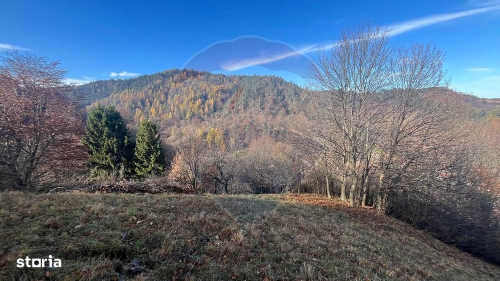 Teren Colinar Panoramic – 17.684 mp în Scheii Brașovului
