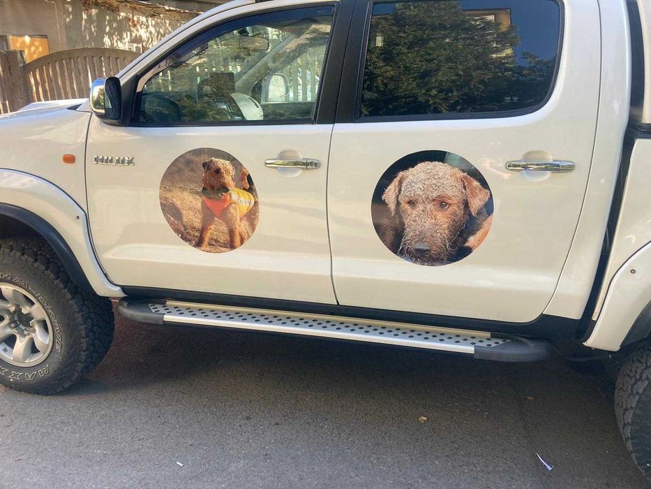 colantare auto cu printuri tip reclama