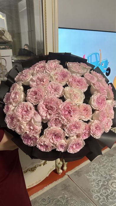 Свежая букет светов