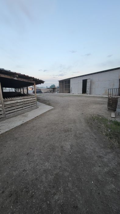 Продам дом с фазендой