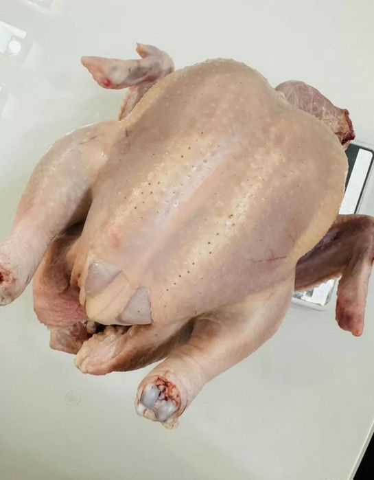 Тушки куры бройлеры