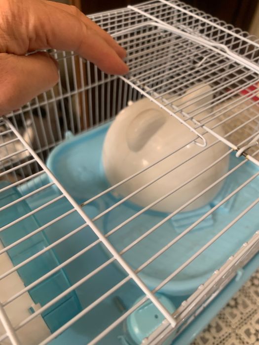 Клетка для хомячков и террариум