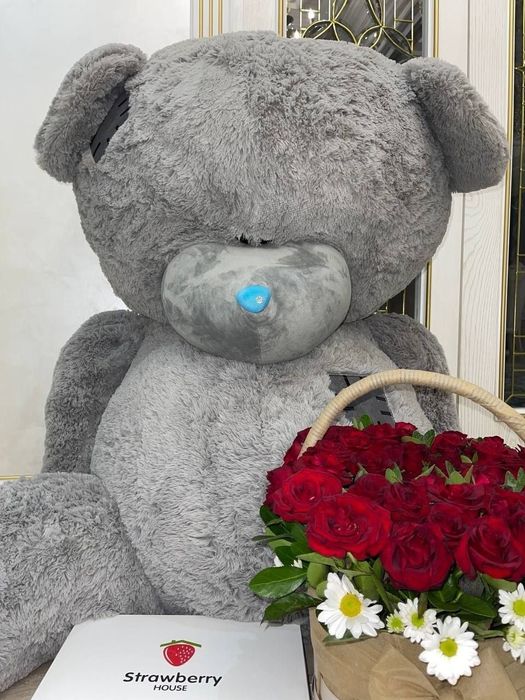 Teddi ayiq holati yaxshi