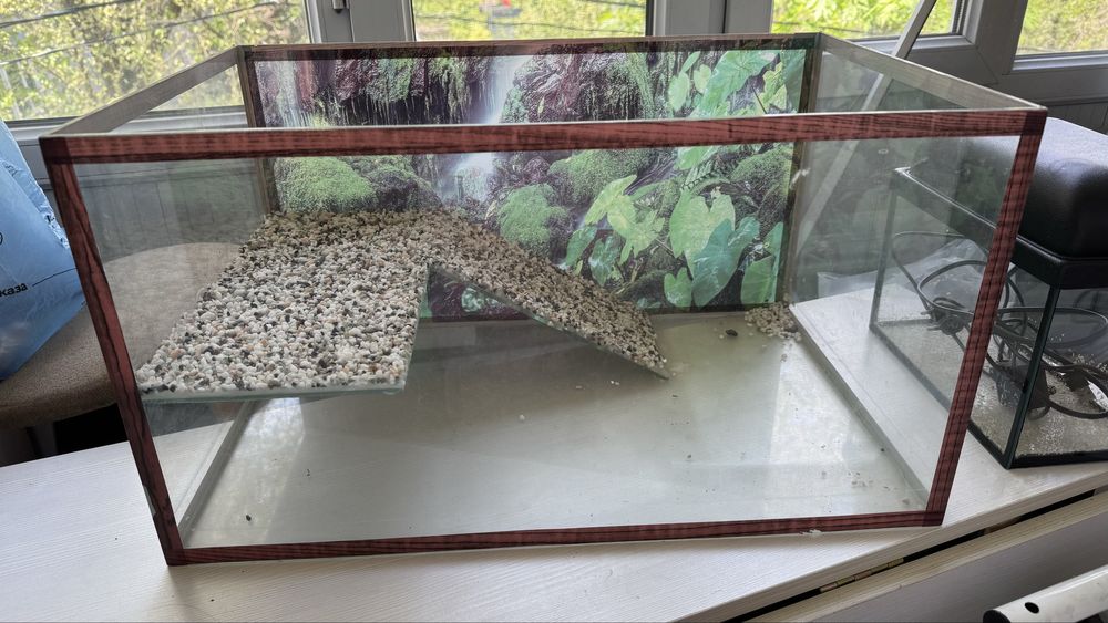 Террариум, аквариум