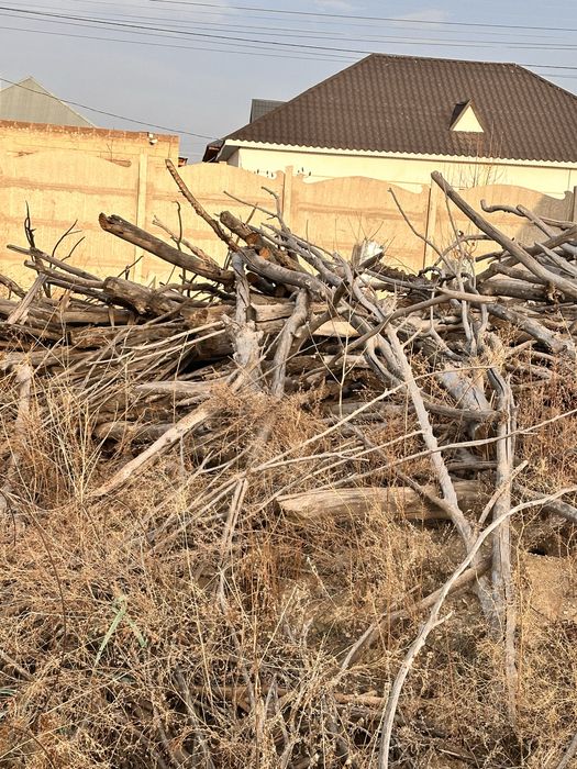 Дрова сухие для бани и шашлыка прочие