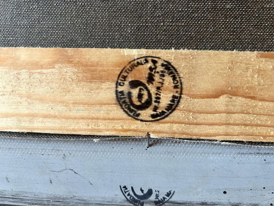 Tablou Peisaj maramuresan Silvia Onisa