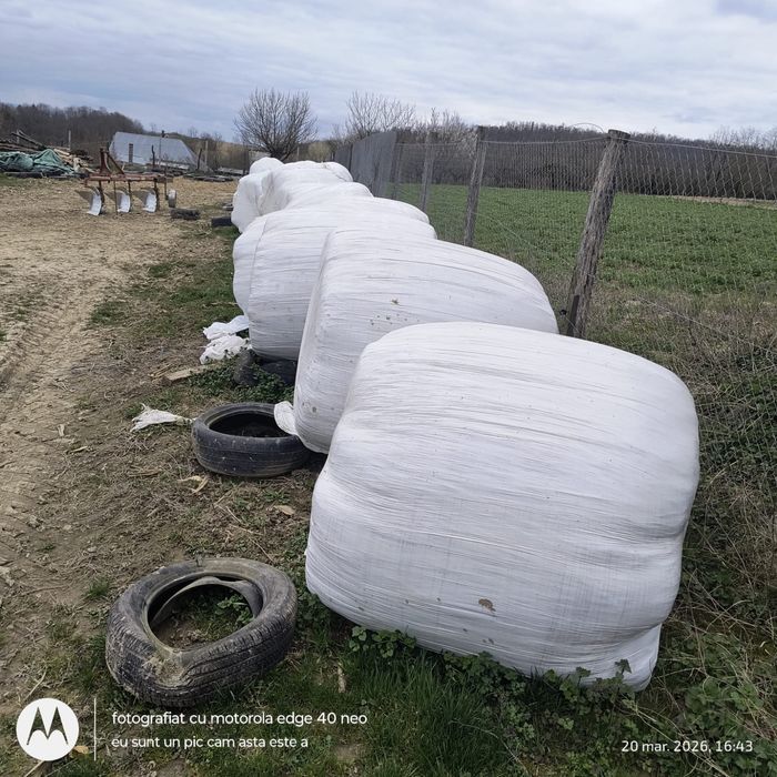 Vand baloti de lucerna