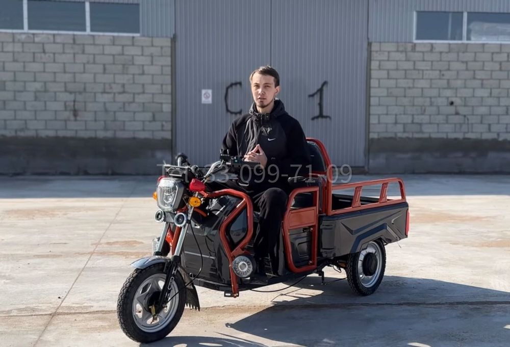 Электрогрузовик Трицикл муравей трудолюбивый 1000 Вт до 300кг