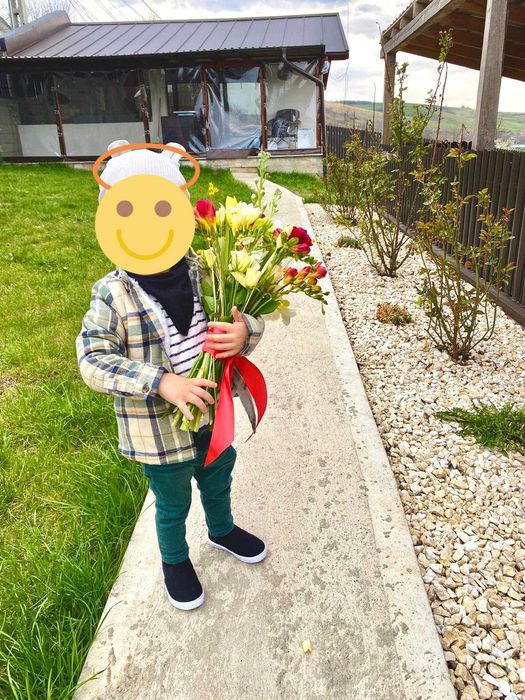 Casa de vacanta plus teren la 8 minute de Iasi