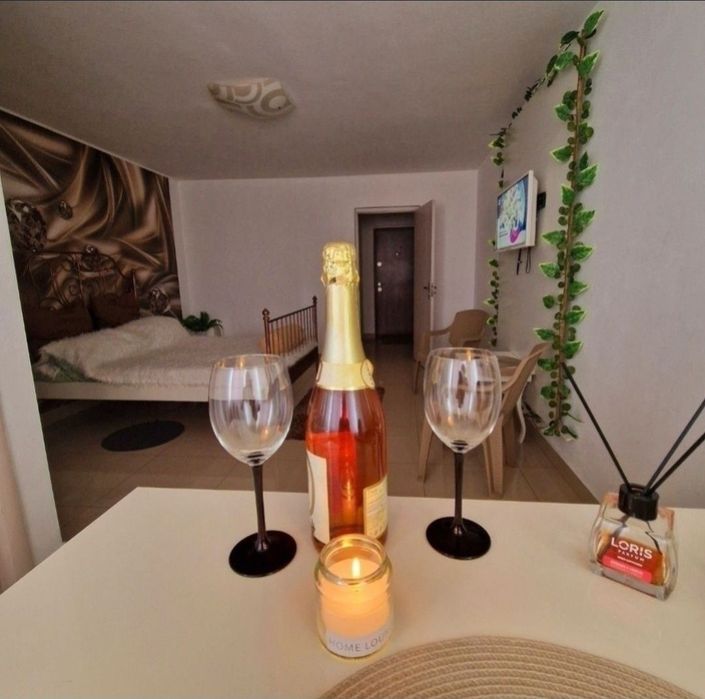 GARSONIERA FITZA  în Regim hotelier Craiova/Cazare Craiova