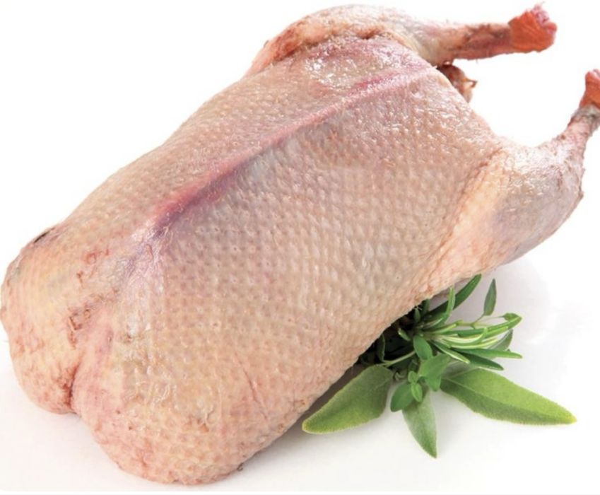 Утка домашняя 3000 кг Гусь домашний 5000кг