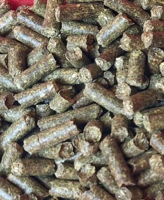 Peleti din lucerna / granule