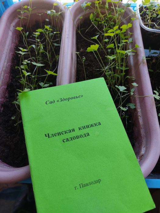 Продам дачу,сад Здоровье