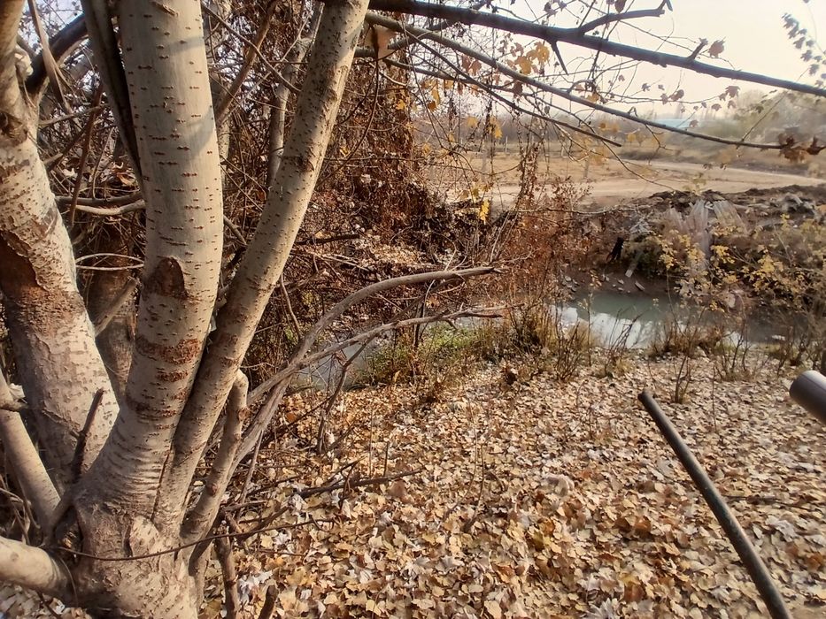 yer, Uy hovli sotiladi