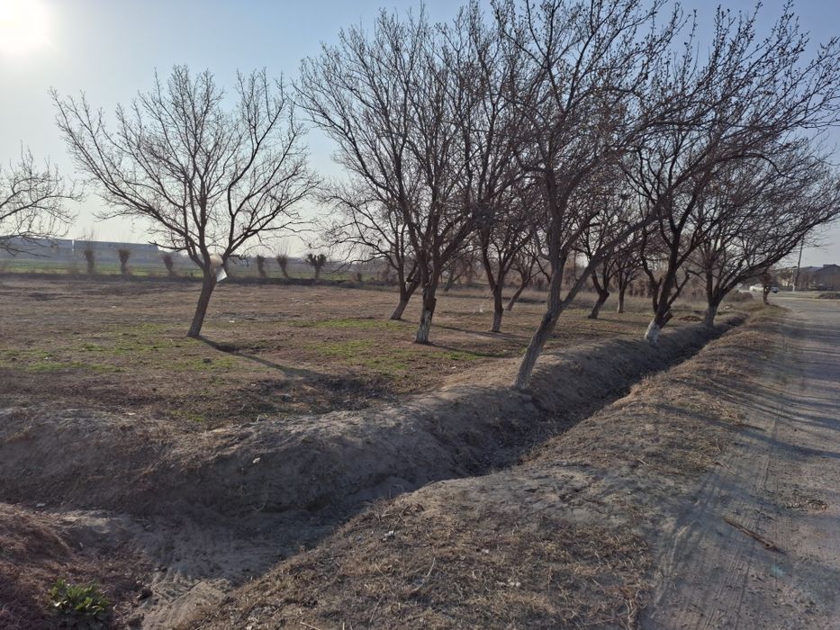 Yer sotiladi Buxoro viloyat shofirkon tuman