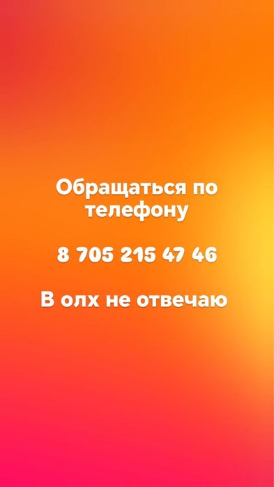 Продам котёнка сфинкса