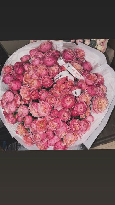 Цветы Алматы Пионовидные розы