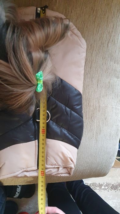 Грейка за малка порода кучета