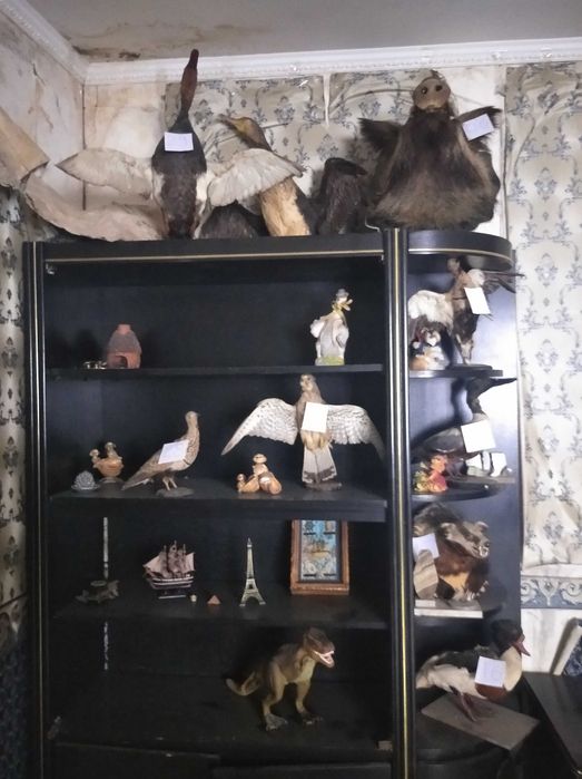 Чучела птиц и животных