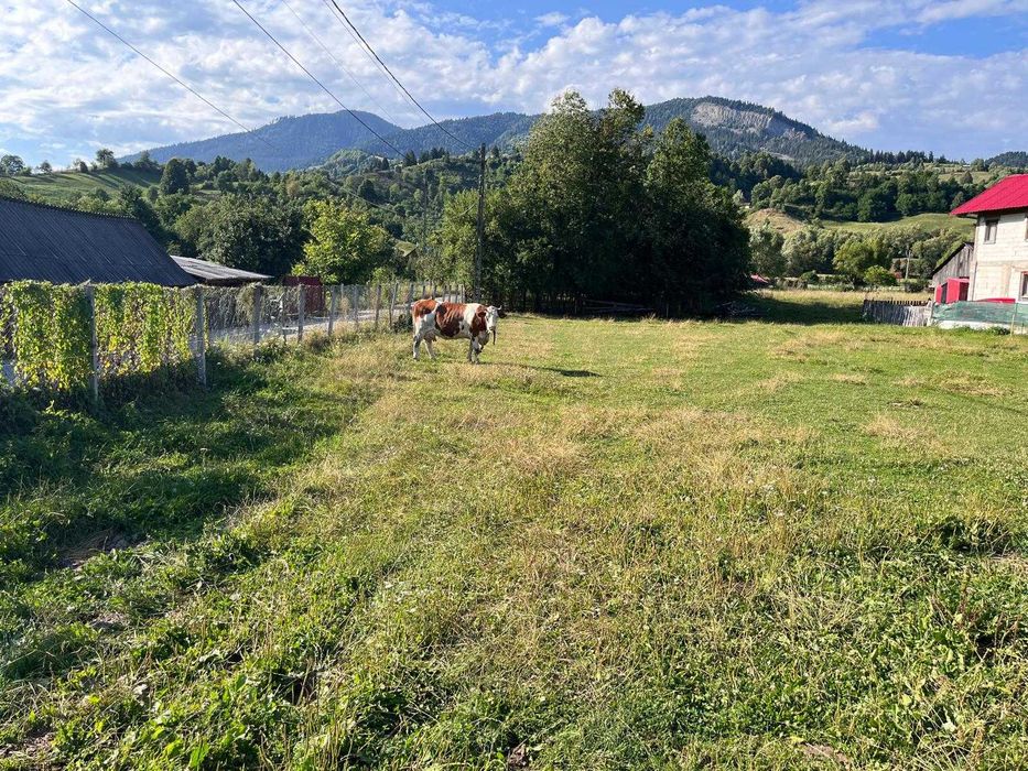 Teren plat construibil, parcelabil, acces drum județean zonă montană superbă