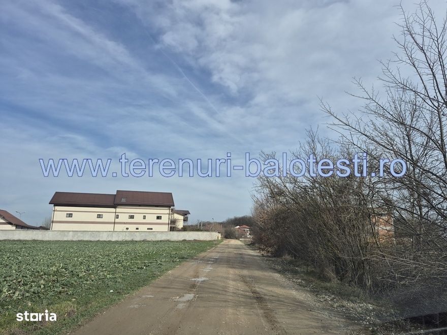 Teren cu gaz si electrica-hotar, 28000 E, padure