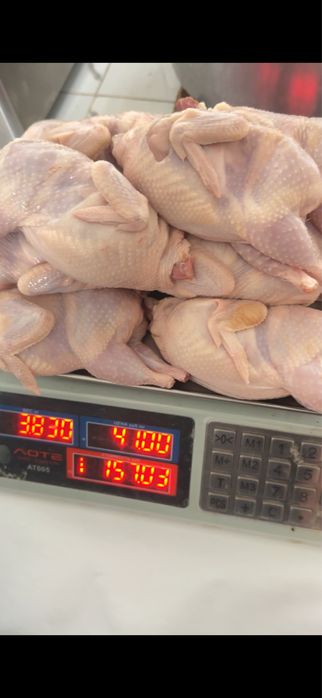 перепелиные мясо бөдене еті