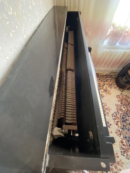 Беларусь пианино