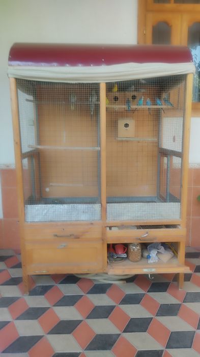 Корелла попугай уяси билан сотилади