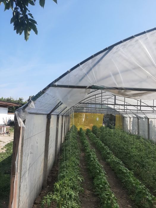 Продавам оранжерия.