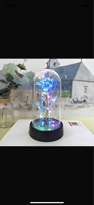 Роза в колбе цветы сувенир подарок