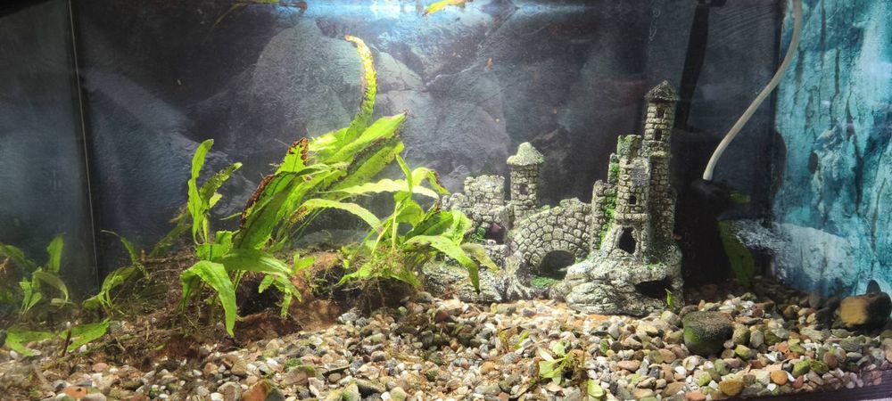 Аквариум AQUAEL 54 литра