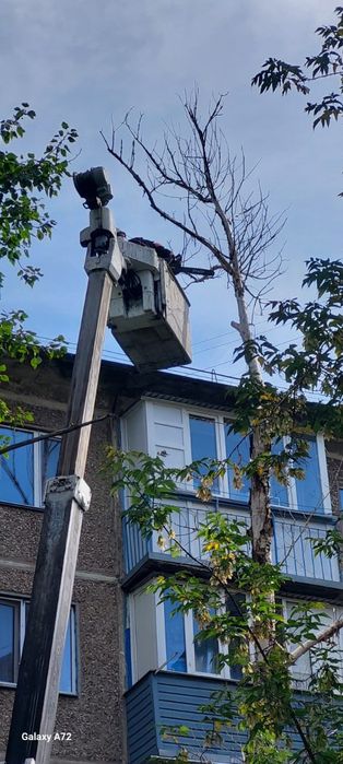 Спил деревьев, санитарная подрезка