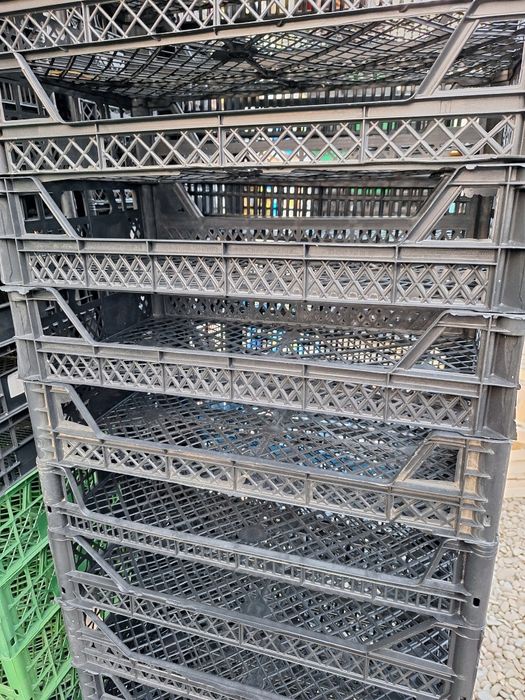 Ladite plastic 50x30