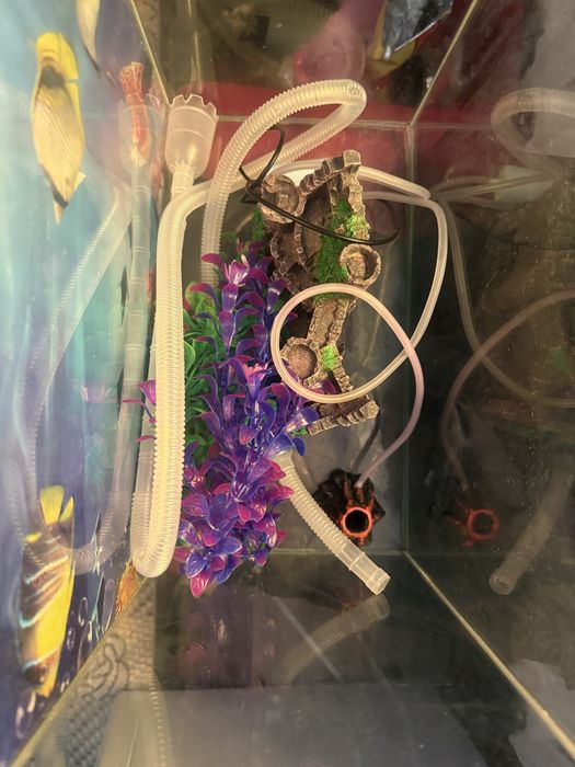 Аквариум с набором.                        .