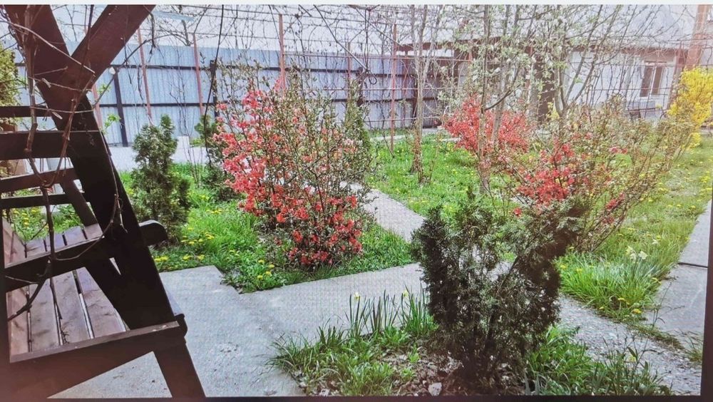 Teren 15 km de Bucuresti 2 constructii, fundatie 90mp, put apa, fosa..