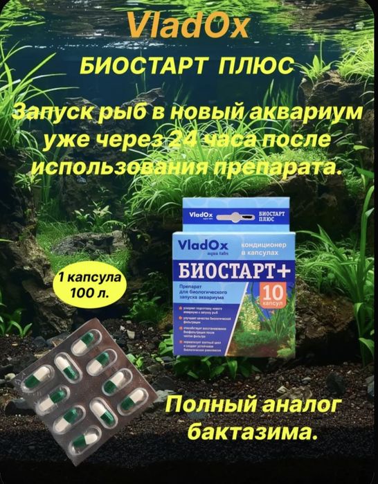 VladOx. Биостарт Плюс. 10 капсул.