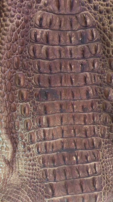 Крокодильчик  новый