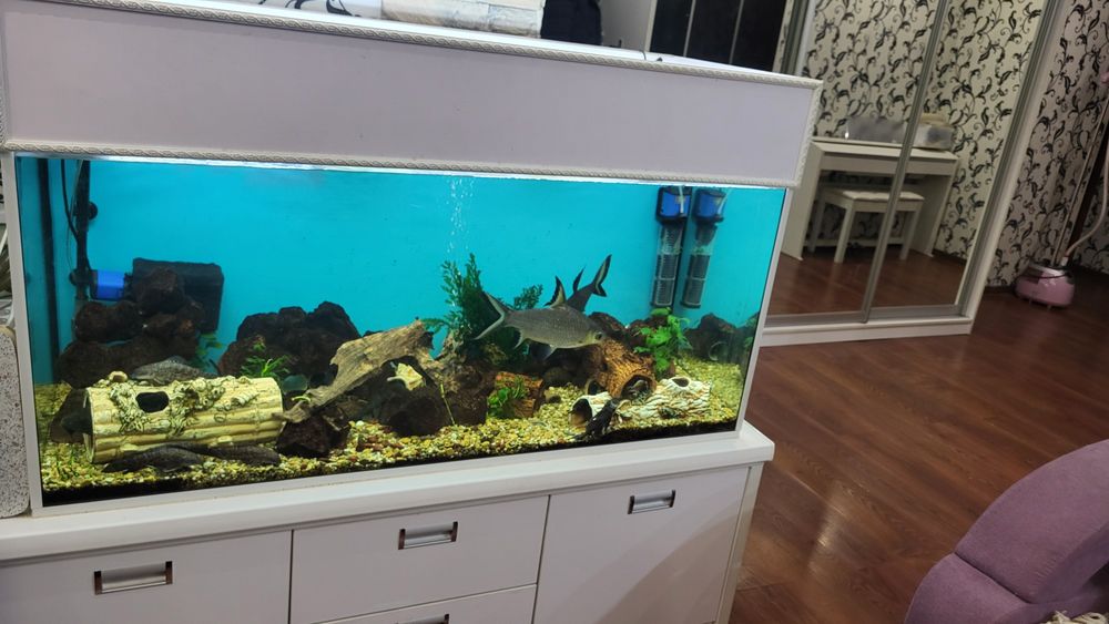 Продам аквариум с рыбками