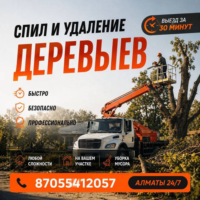 Спил деревьев, обрезка дерева, дерево,
агаш кесеміз