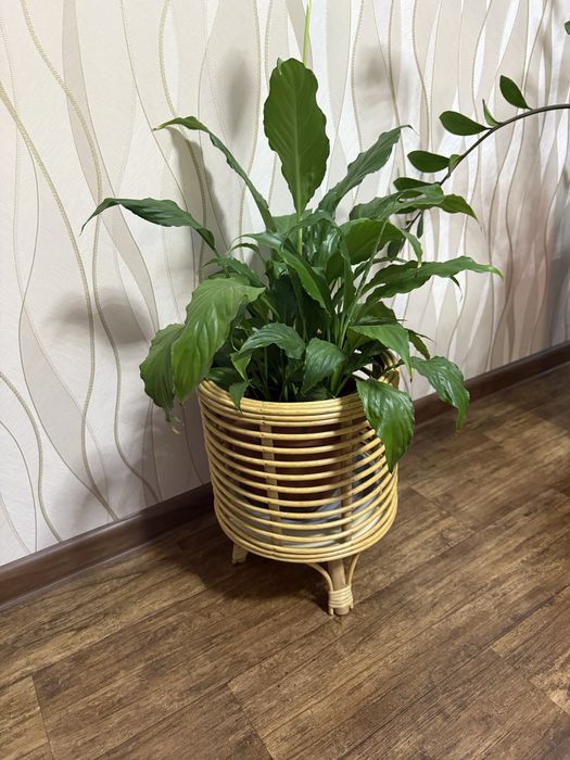 Подставка по цветок ( деревянная )