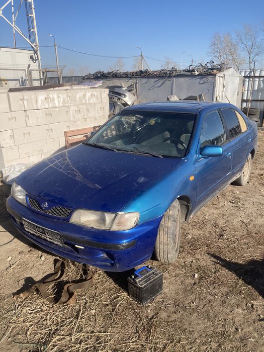 Almera Lusino Pulsar