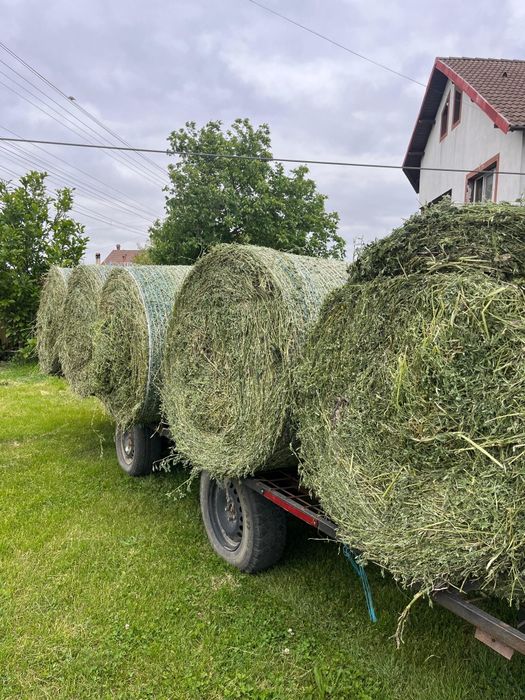 Vindem baloti rotunzi de  lucernă 2025