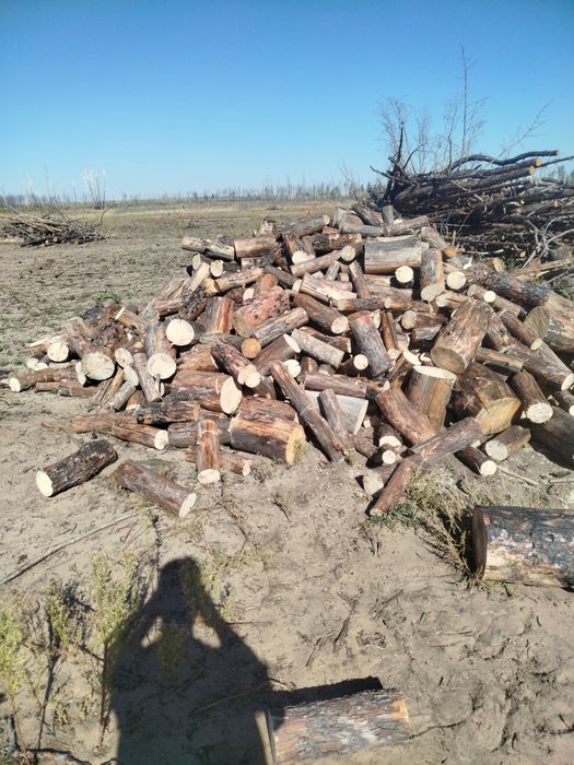 Продам дрова сосна чуркованная доставка
